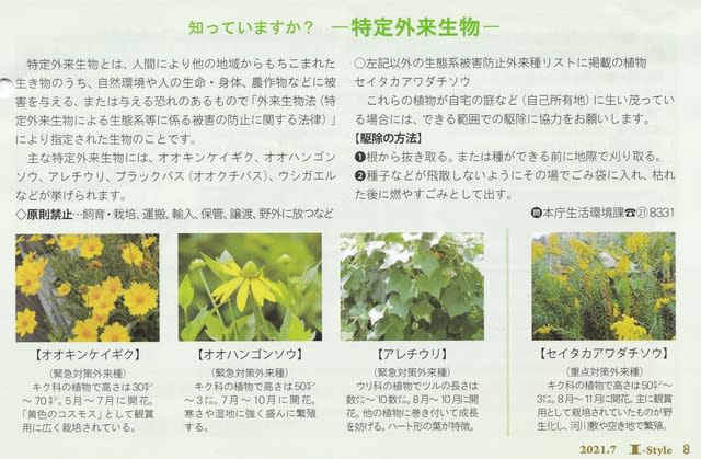 特定外来生物 4種 21年6月26日 土 Peaの植物図鑑