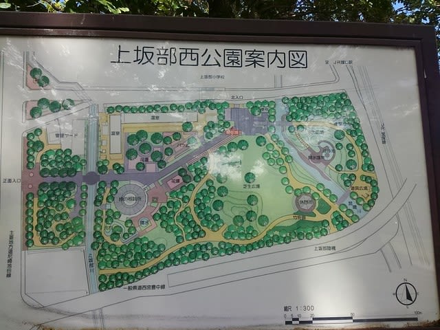 緑地 公園 時計 電池 トップ 交換