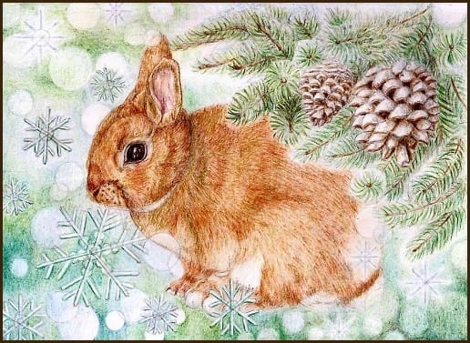 色鉛筆画５４７ （クリスマス・うさぎ） - 一期一会の想いを込めて・・・
