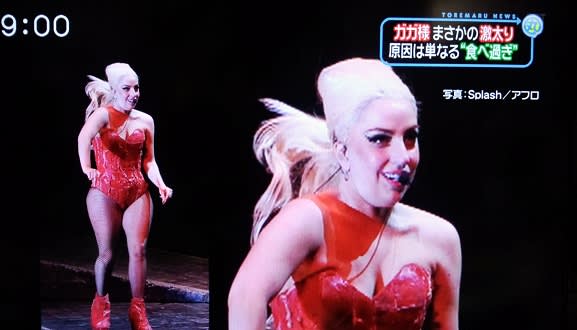 ガガ様 の激太りについて 続報あり 回遊草 Kai Yu So ガガ様 の激太りについて 続報あり 回遊草 Kai Yu So