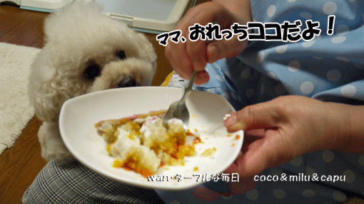 09年7月のブログ記事一覧 ｗａｎ ダーフルな毎日