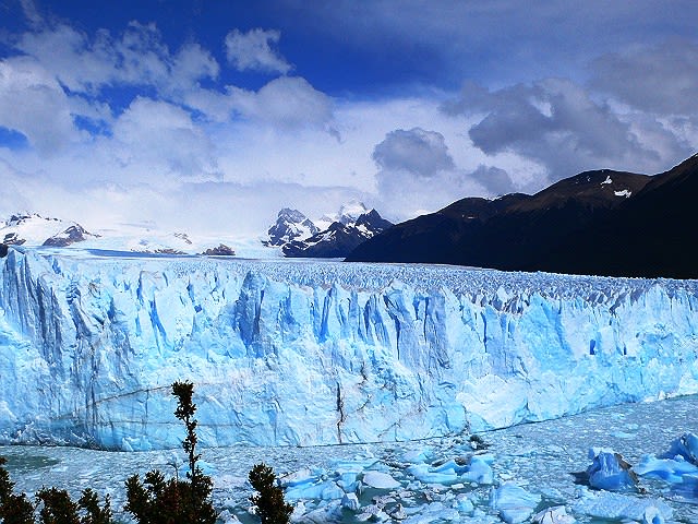 イーロン マスク 大統領諮問委員会を辞任でロス グラシアレス国立公園の氷河崩壊を思い出す 団塊亭日常