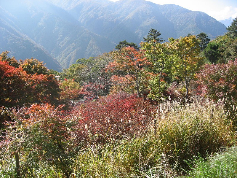 三峰神社 両神山 紅葉 フルムーン日記