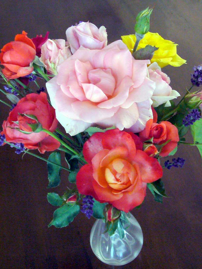 https://blogimg.goo.ne.jp/user_image/77/2f/cbcc229f4c5f690152e5dba6aa9c4ece.jpg