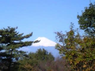 Fuji nevicato