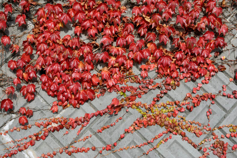 Dsc_5769 Dsc_5769