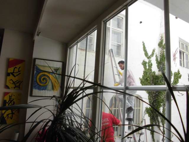 私も立派な鳩嫌いになってしまった 怠慢主婦 ドイツで同居