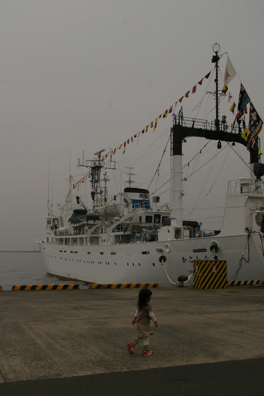 Imgp4957 Imgp4957