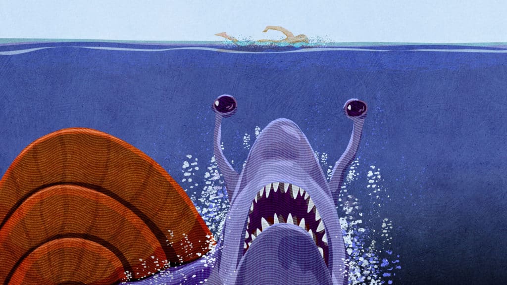 実はサメより怖いカタツムリ 新型インフルエンザ ウォッチング日記 渡航医学のブログ