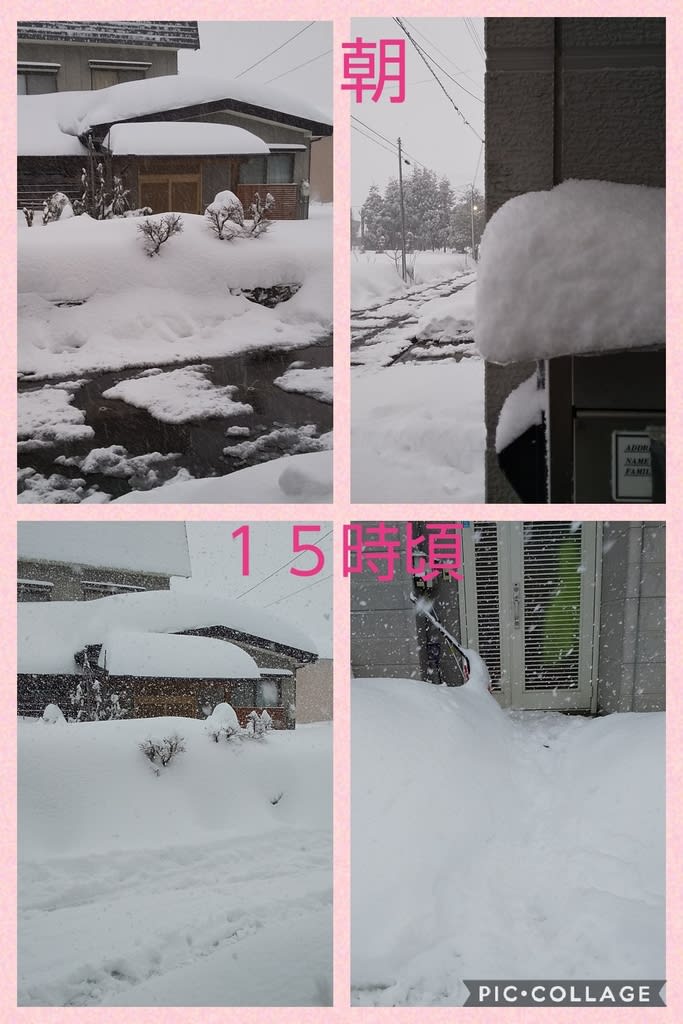 大雪すぎる　積雪144センチらしい - ぷりんちゃん日記