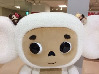 18年1月のブログ記事一覧 ベルの徒然なるままに