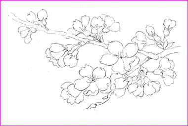 桜 下描き おさんぽスケッチ にじいろアトリエ 水彩 色鉛筆イラスト スケッチ