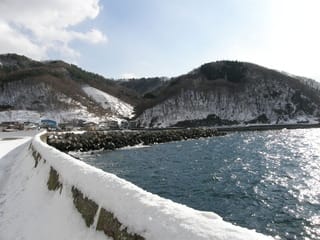 下北半島の冬の海釣り 父娘の磯釣り 下北半島とのんびりオートバイ