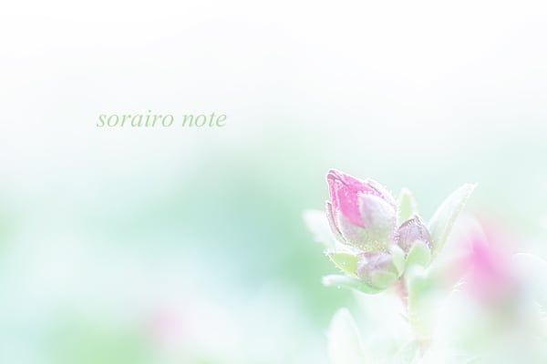 2度目の告白 Sorairo Note