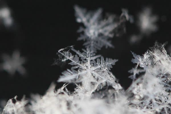 パウダースノーが降る朝は雪の結晶がよく見える 復活 やまがたの四季と暮らし