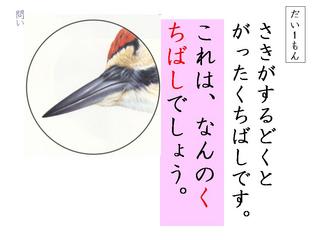 １年上 いろいろなくちばし こと子先生の国語教室