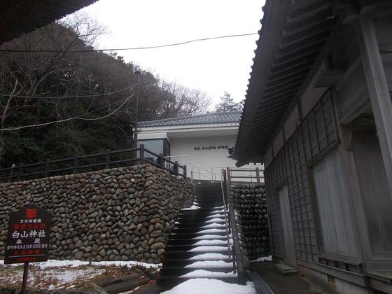 イメージ 5