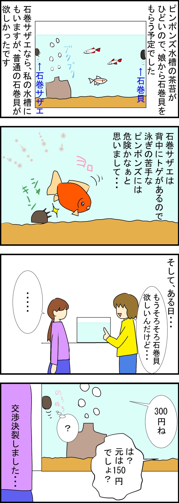 石巻貝 ポンちゃんは ピンポンパール 石巻貝 ポンちゃんは ピンポンパール