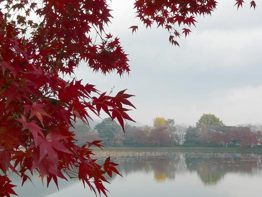 大覚寺・大沢の池の紅葉