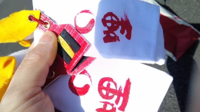 アールティ代表取締役の中川友紀子がチリ政府のマゼラン海峡賞を受賞しました Rt Robot Shop Blog