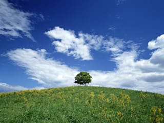 そのままにしておく勇気 良い思い出は良い思い出のままで ここに幸あり