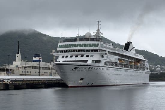 豪華客船（おりえんとびいなす）初寄港記念プレート　函館市 Amazon.co.jp: 豪華客船 おりえんとびいなす 初寄港記念プレート