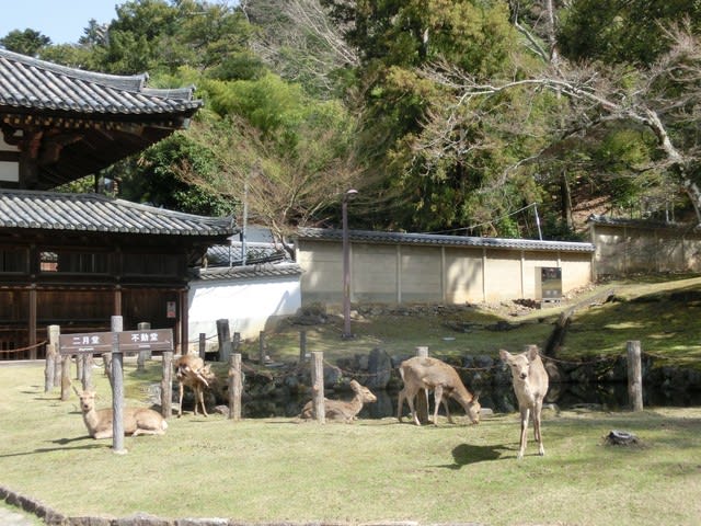 年3月のブログ記事一覧 食べ歩きとハイキングの旅 年3月のブログ記事一覧 食べ歩きとハイキングの旅