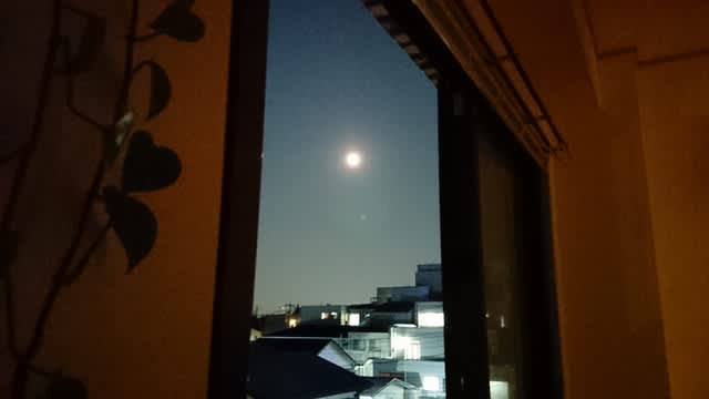 出ました 東月庵 の 待宵月 画家 田中恵子のアトリエ通信 出ました 東月庵 の 待宵月 画家 田中恵子のアトリエ通信