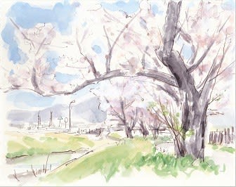 桜を描きに 折々スケッチ