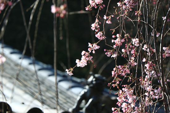 R_20170405EIOA9636.jpg