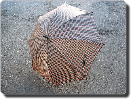 傘♪