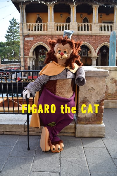 ギデオンかわいいよー ３ ２０１５年１２月 Figaro The Cat