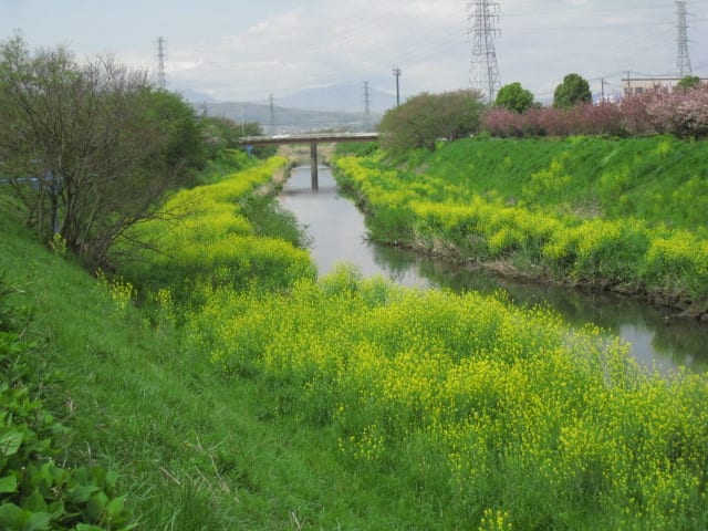 渋田川