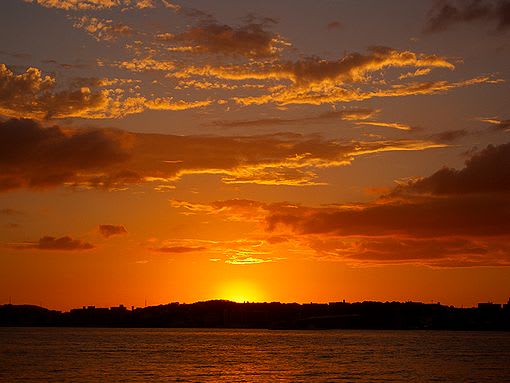 夕日と夕焼け 8月16日 ゆめ吉とお花と私 夕日と夕焼け 8月16日 ゆめ吉とお花と私