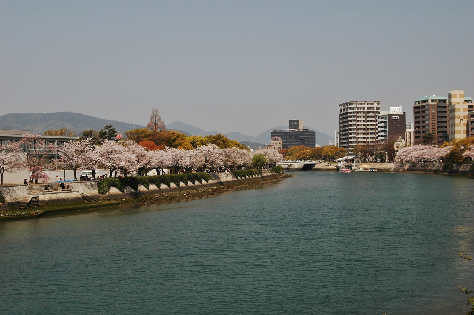 過去の写真 広島近辺の桜風景を 広島市 綺麗な写真 日々出来事