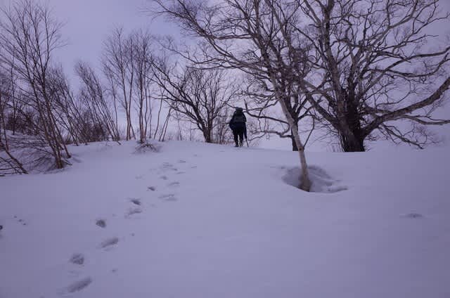 シノギング のブログ記事一覧 2ページ目 Axesquin Blog