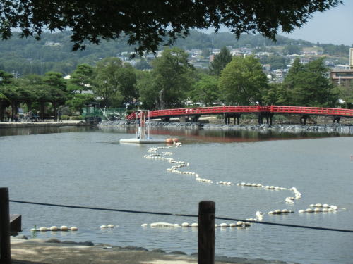 松本城　2013/8/20