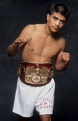 この階級 この選手 ライトフライ級編 Daispo World Boxing Express