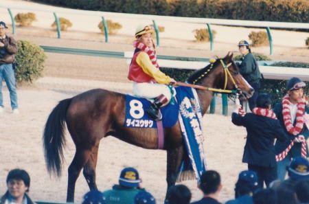 第３６回 有馬記念の勝ち馬 「 ダイユウサク 」 - 「 九州 ・ 沖縄 