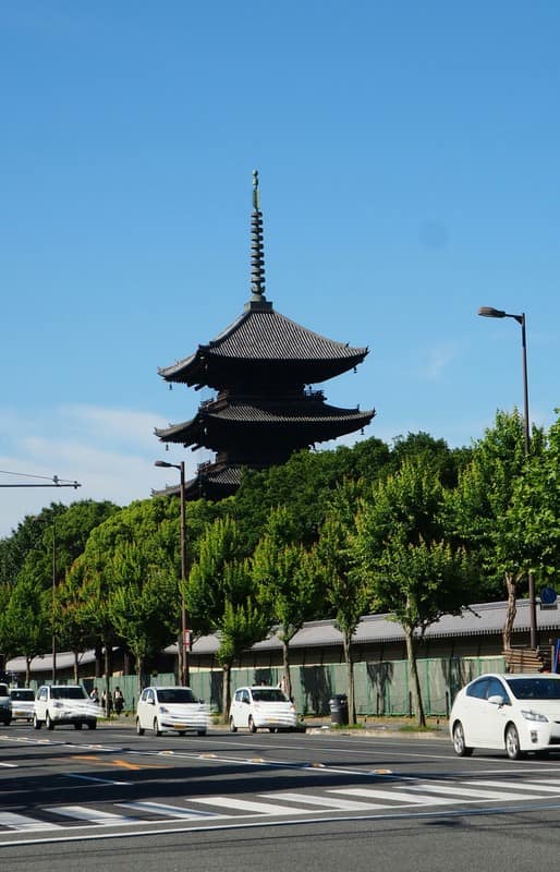 東寺の蓮 京都で定年後生活 東寺の蓮 京都で定年後生活