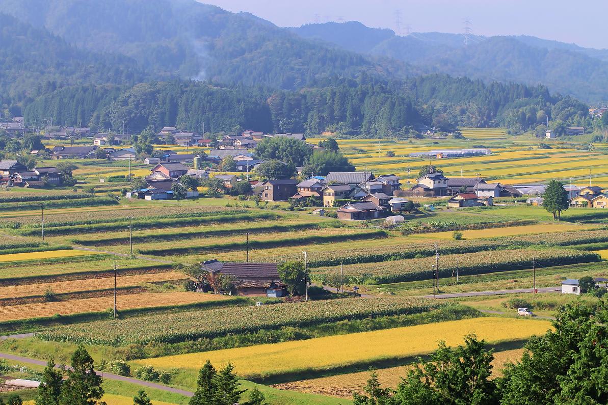 仲間に助けられての撮影会の画像