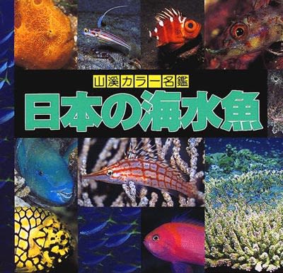 本の事 日本の海水魚 釣初心者日記