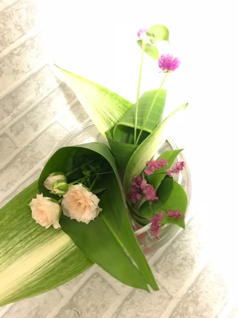 葉っぱの器作り 葉っぱの花留め ちびっこ先生のフラワーアレンジメント教室日記 大阪堺市北区なかもず駅近から発信しています 彡 葉っぱの器作り 葉っぱの花留め ちびっこ先生のフラワーアレンジメント教室日記 大阪堺市北区なかもず駅近から発信しています 彡