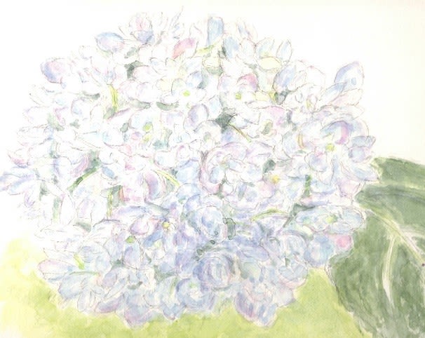 楽描き水彩画 花の描き方の教科書を手に 庭のアジサイを描きました 風の遊子 ゆうし の楽がきノート
