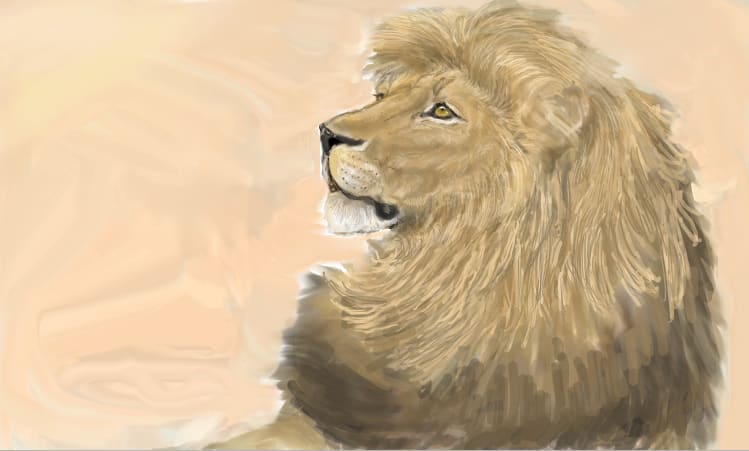 ライオンの横顔 動物 絵ブログ