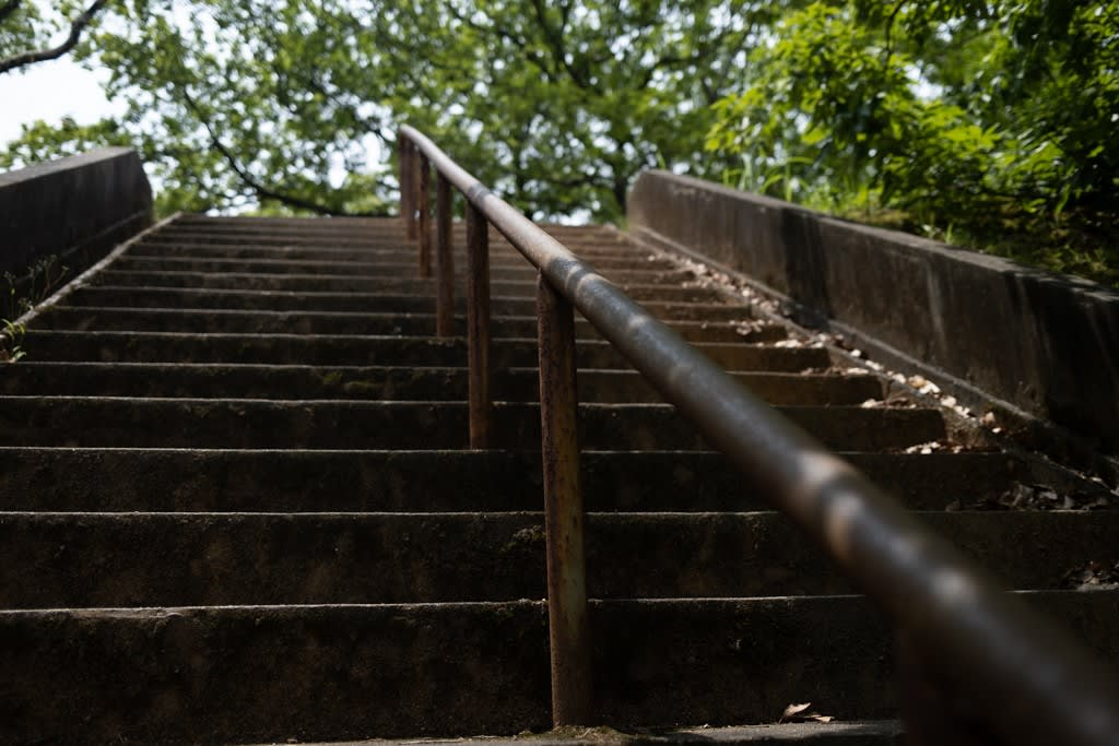 FUJIFILM X100V