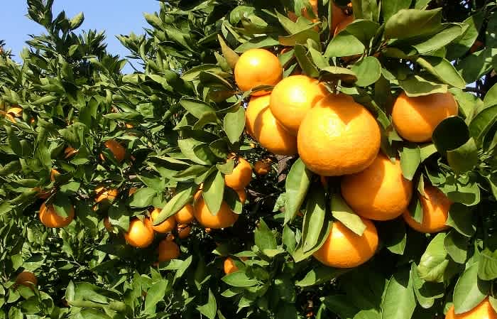 Ucygqwmr22ihlm Ucygqwmr22ihlm