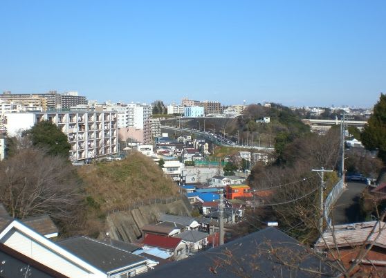 イメージ 7
