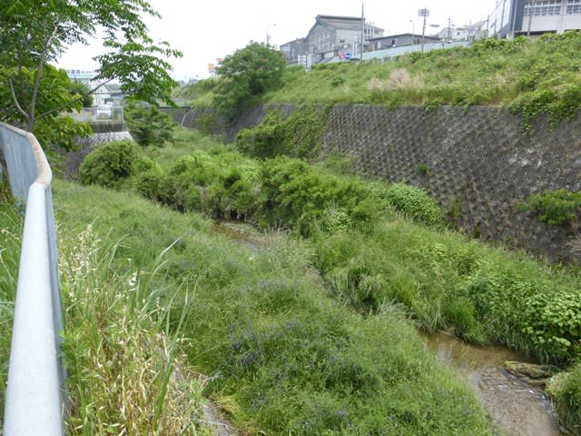 Photo_15 Photo_15