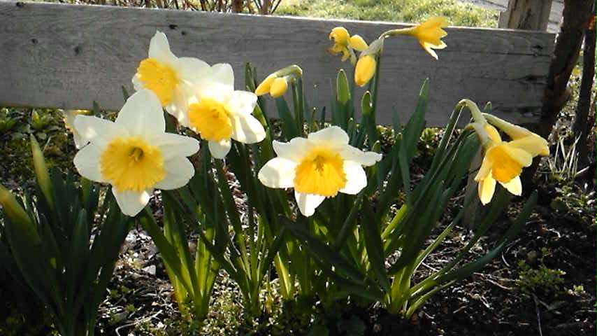 120426_060242_ed.jpg